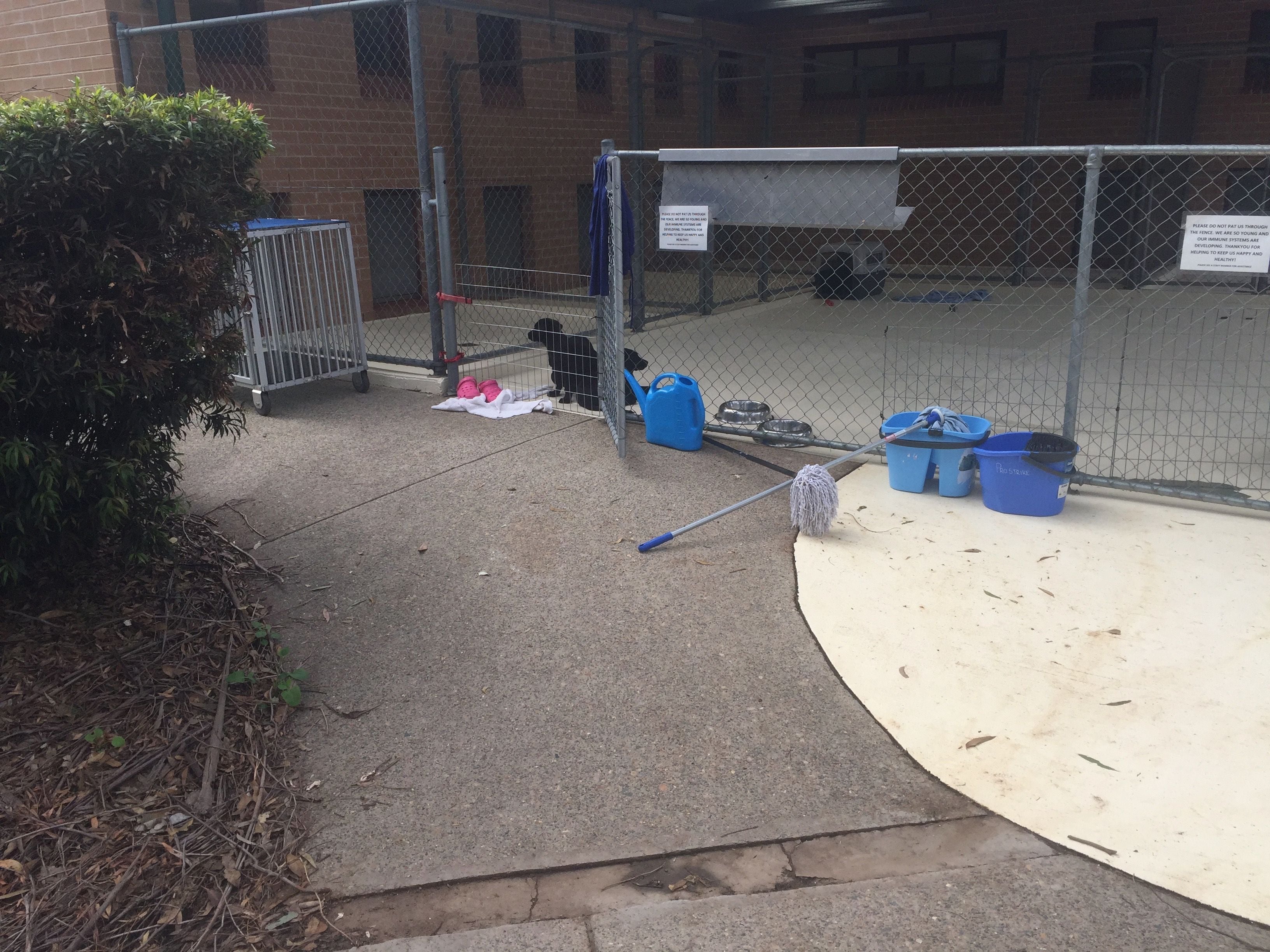 Guide Dogs NSW Day Tour Image -5b1626111fa49